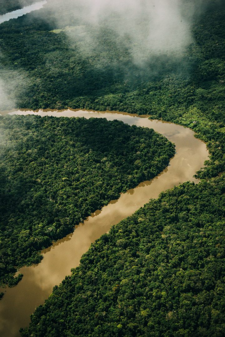 Rivers and forest Rivers and forest